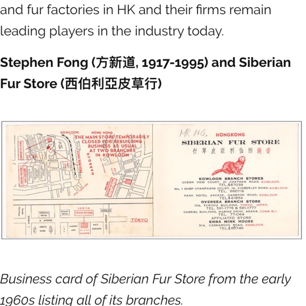 Vintage 1950’s Siberian Fur Store Mink Stole/Shaw - Picture 7 of 8